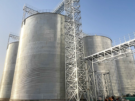 Xinjiang Chuangxing Agricultural‑Product Development Group Co., Ltd