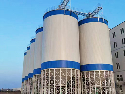 Xinjiang Shengkang Hongxin (Group) Co., Ltd
