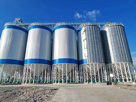 Xinjiang Shengkang Hongxin (Group) Co., Ltd