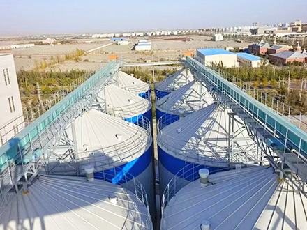 Xinjiang Shengkang Hongxin (Group) Co., Ltd