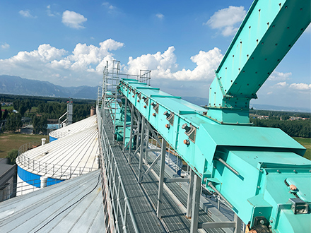 Henan Yulongfeng Agricultural Development Co., Ltd.