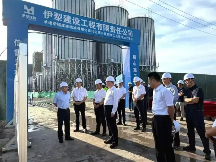 Dacheng Steel Silo Speeds up Construction for Xinjiang Shengkang Grain Oil Project