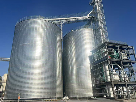 Shaya Zhaoyang Grain‑Oil Industry and Trade Co., Ltd.