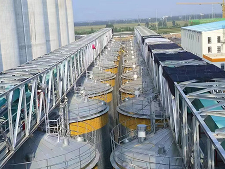 COFCO Flour Industry (Luohe) Co.,Ltd